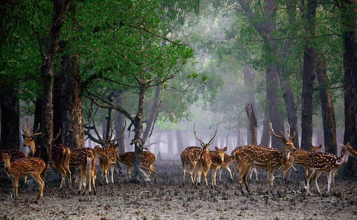 Adventure & Wildlife